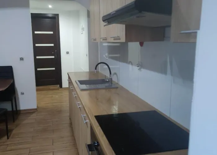 Dla Firm Apartament Wilkow Wielki